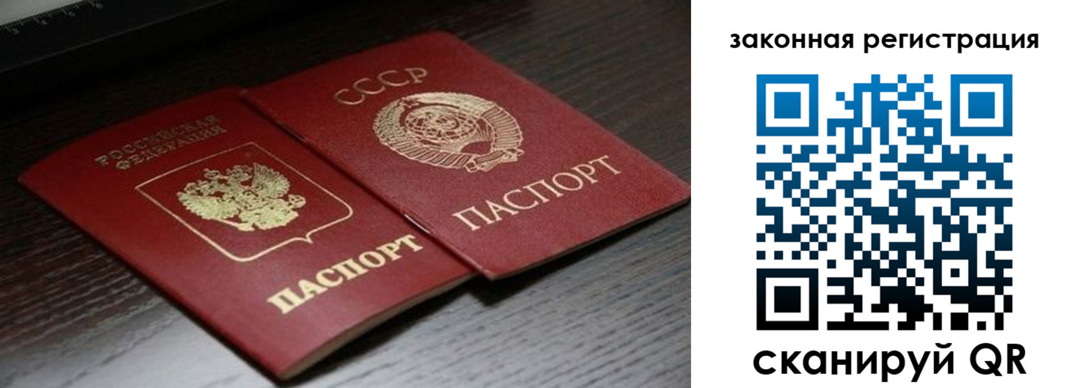 прописка поиск в Тереке